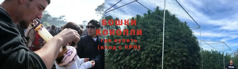 Канабис OG Kush  KRAKEN зеркало  Жиздра 